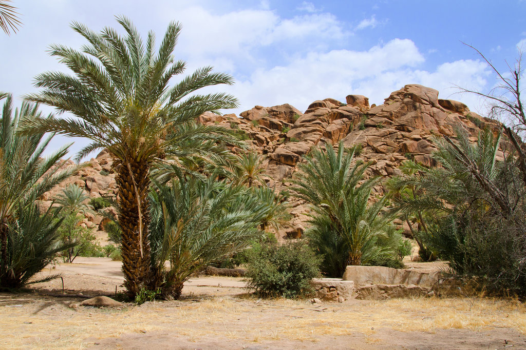 Popri meste Ouarzazate