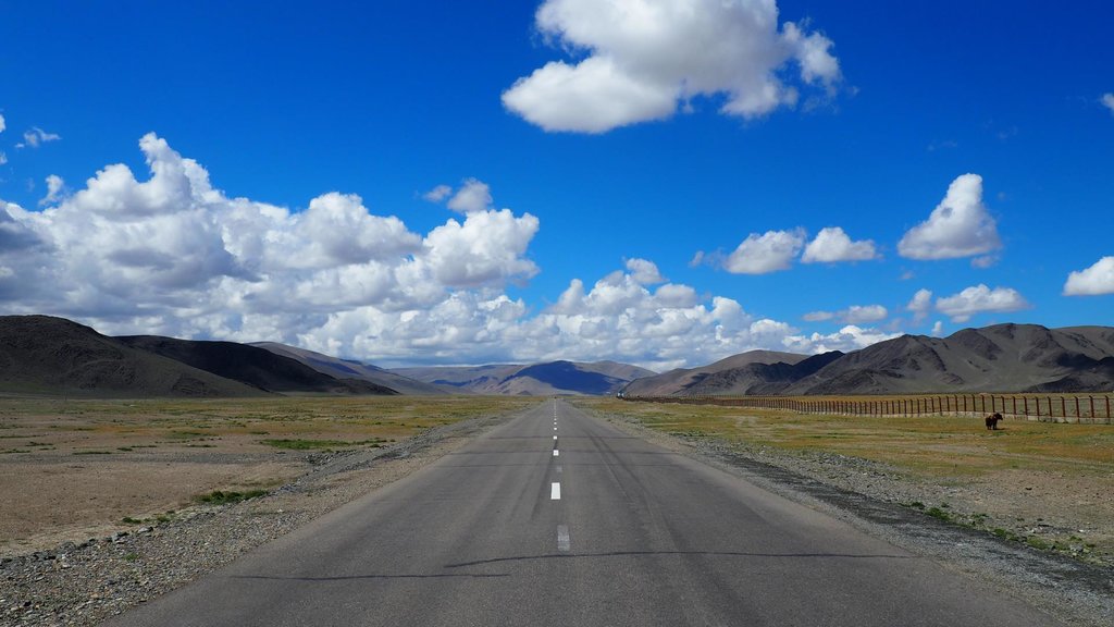 Mongolský asfalt