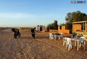Café pri pevnosti (Cafe La Port Di Desert) - Na Afrikách do Afriky - Tunisko