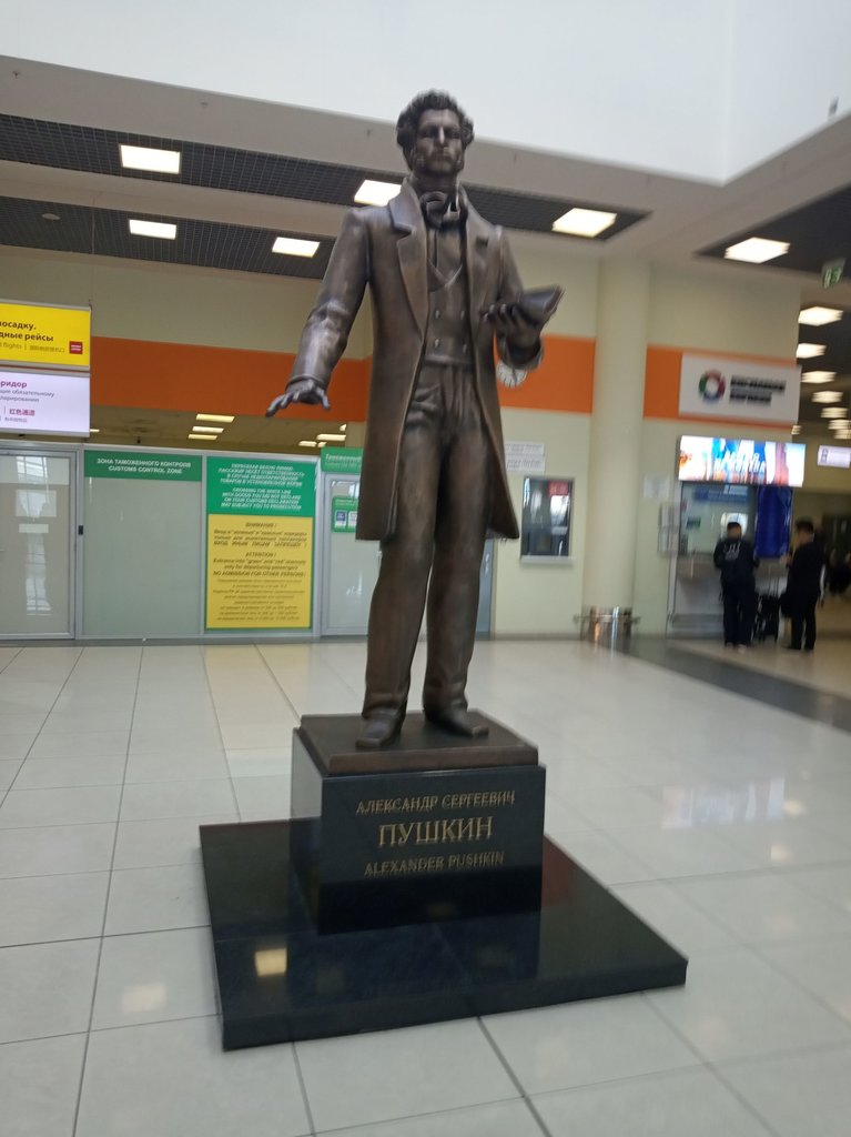 Puškin na letisku v Moskve