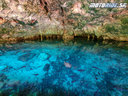 Potápanie v Playa del Carmen a ostrove Cozumel - Naživo: Mexiko 2020-2021