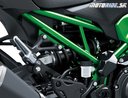 Kawasaki Z900 2025