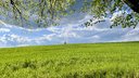 02.05.2025 16:58 - Levoča a Bardejov - príjemné prekvapenie