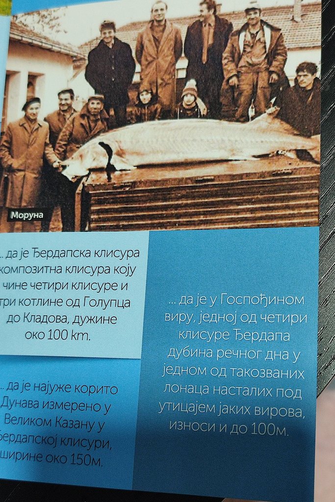 7. Úlovky na Dunaji, pokiaľ neboli  hrádze.