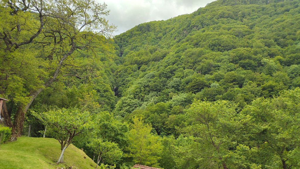 18. Krásna sýta zeleň ale vodopády nedostupné.