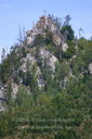 Osrblie - kríž postavený po kalamite z roku 1996