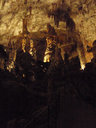 Jaskyňa Postojna Jama, Slovinsko - Bod záujmu