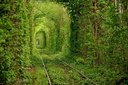 Tunel lásky - Kleven, Ukrajina - Bod záujmu
