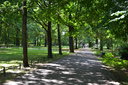 Berlínsky park