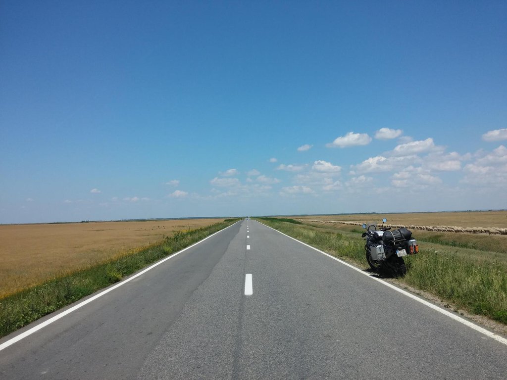 Horizont v nekonečne spolu s nekonečnou karavánou oviec. Rumunsko, smerom na Focsani