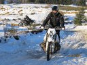 Dvojvalce - Stretko - preteky - ľadových medveďov 2017, Brezno