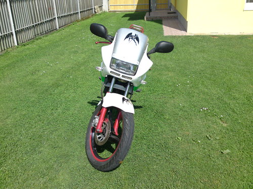 Foto člena 