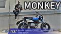 Honda Monkey (2022) - mestuodolná drzá opica!